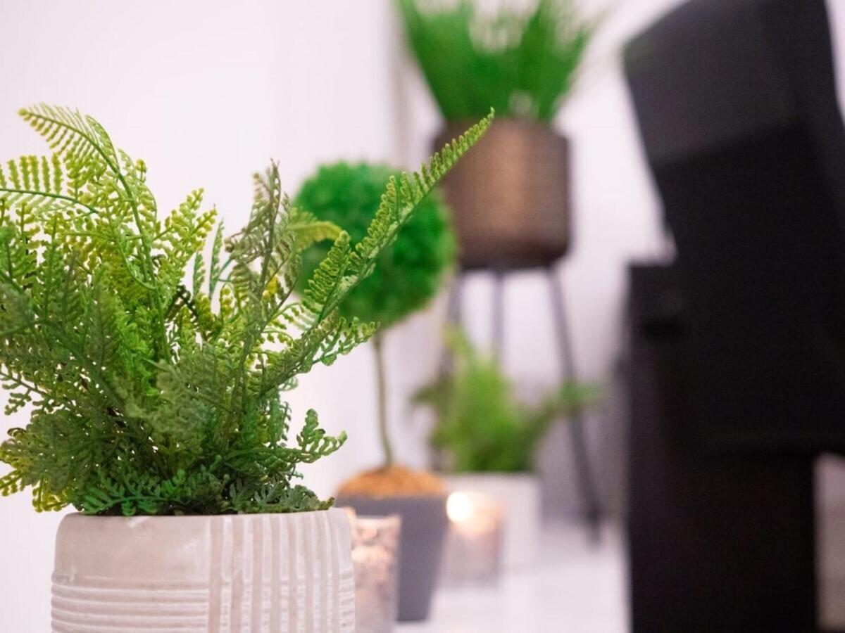 Sav Apartments Rutland レスター 部屋 写真